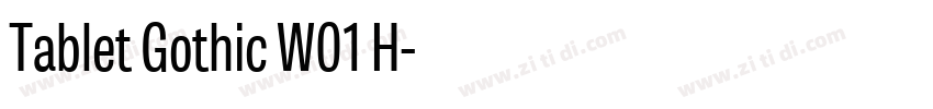 Tablet Gothic W01 H字体转换